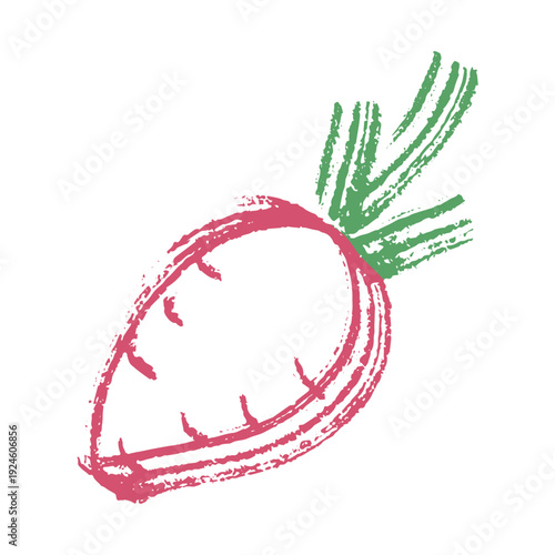 Hand drawn farm radish beet beetroot plant with green leaves Fresh vegetable doodle Healthy eco food Organic garden vegetarian food For design, print, packaging, decor, kids books