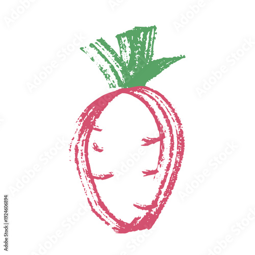 Hand drawn farm radish beet beetroot plant with green leaves Fresh vegetable doodle Healthy eco food Organic garden vegetarian food For design, print, packaging, decor, kids books