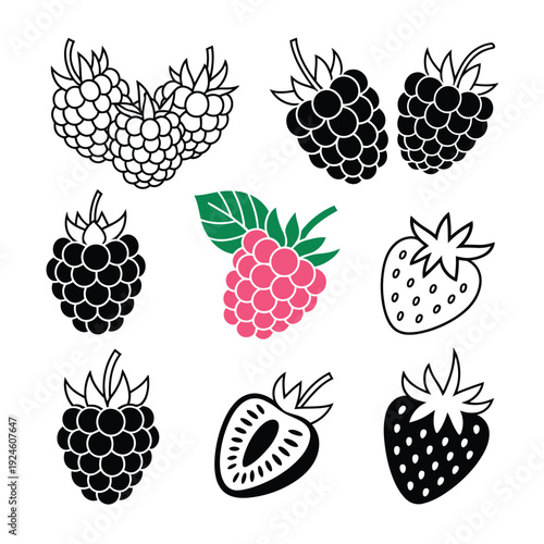 Stylized Berry Fruit Icon Collection Featuring Raspberries Blackberries and Strawberries