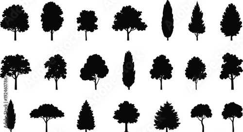 Tree silhouette collection set, various deciduous and conifer trees shapes, black nature forest vector icons isolated white background