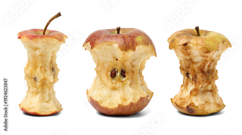 Fotografie three apple cores, one showing seeds, on a transparent background, symbolizing waste and unfinished food