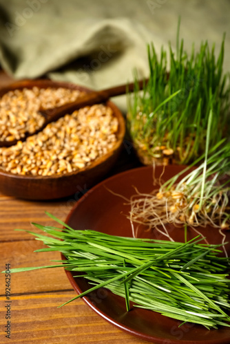 Plate with fresh wheatgrass...