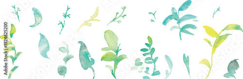 水彩画。水彩タッチのベクター春植物イラスト。春の花と植物のベクターフレームセット。Watercolor painting. Vector spring botanical illustration with watercolor touch. Vector frame set of spring flowers and plants.