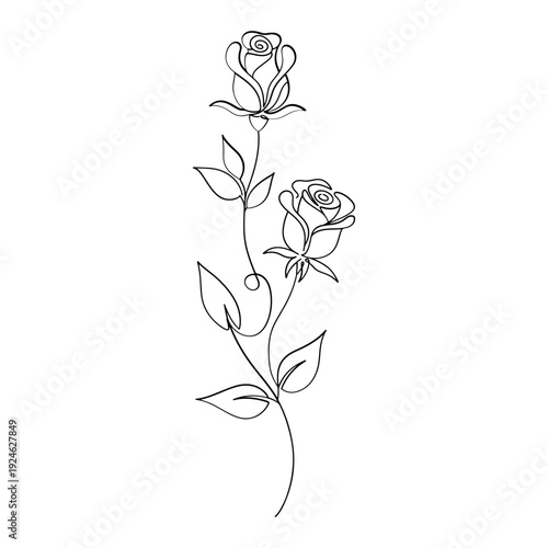 Elegant continuous line drawing of two blooming roses with green leaves