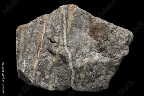фотографія Skarn Rock, Jurassic, Contact Metamorphic Structure and Mineral Assemblage