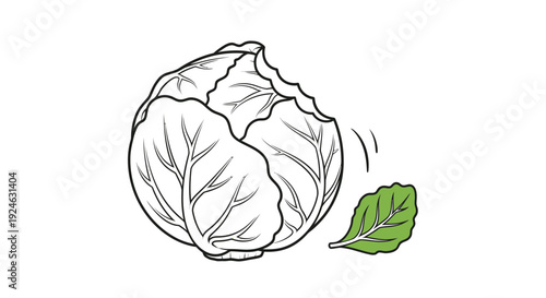 Fresh Cabbage with a Detached Leaf, Healthy Eating Concept