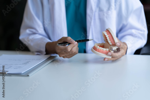 Dentist holding teeth model and describe about it to patient