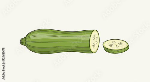 Fresh Zucchini Vegetable, Whole and Sliced, Isolated on Light Background