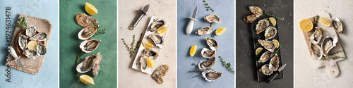Collage of fresh oysters on...