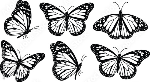 Butterfly silhouette set detailed wings black and white insect collection isolated on white vector illustration