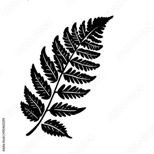 leaf design, plant plant nature garden decoration and season theme illustration