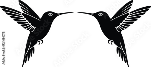 Hummingbird silhouettes facing each other, flying bird vector illustration, black symmetrical wildlife design isolated on white background