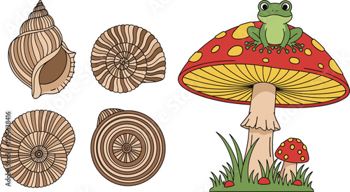 Collection of Seashells and Red Mushroom with Frog, Hand Drawn Nature Elements Isolated Illustration Vector Set