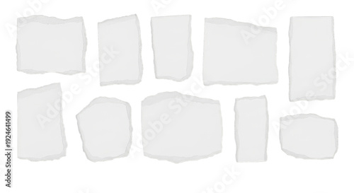 Wallpaper Mural Collection of various gray torn paper shapes on transparent background Torontodigital.ca