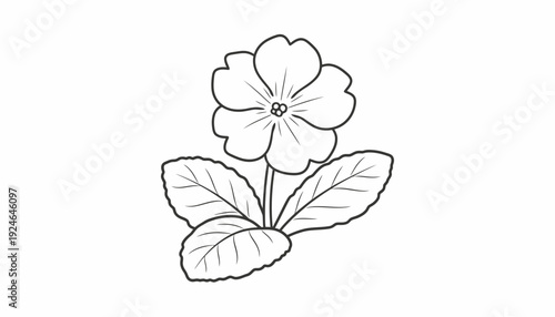 Simple Black and White Line Drawing of a Primrose Flower with Leaves