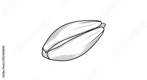 Single Sunflower Seed Outline Illustration Isolated on White Background