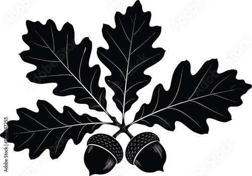 Oak leaves and acorns, botanical nature icon, autumn season symbol, strength illustration, foliage design element, black outline vector, natural decorative artwork