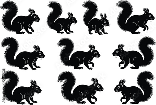 Squirrel silhouette illustration set, wildlife vector artwork, forest animal graphic design, nature symbol icon, black white squirrel pattern