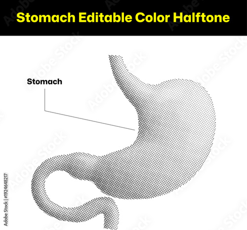Stomach editable color halftone illustration of human internal organ with decorative dot effect art.