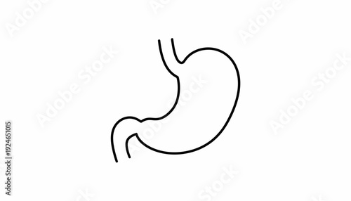Human Stomach Outline Icon, Simple Medical Anatomy Vector Illustration