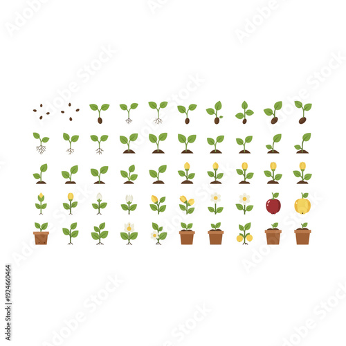 Plant Life Cycle Icons: Seed, Sprout, Plant, Flower, Fruit