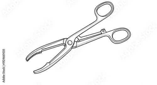 Surgical Bone Forceps, Surgical Instrument, Medical Tool, Orthopedic Surgery Equipment