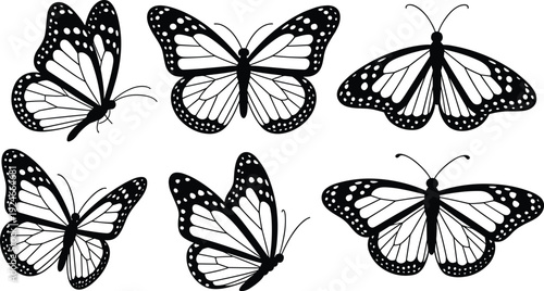 Collection of six butterfly silhouettes with distinct wing shapes and patterns, entomology insect illustrations for design, art, and education