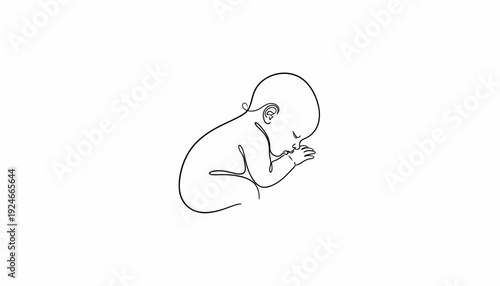 Minimalist single line drawing of a sleeping newborn baby in fetal position, peaceful.