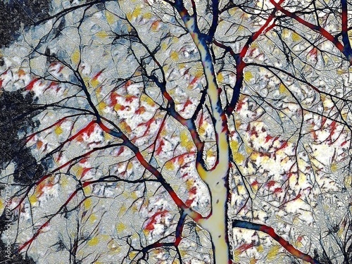  Winter tree with no foliage