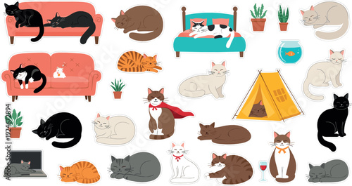 Cute Domestic Cats Collection with Different Breeds Sleeping, Resting and Relaxing at Home Cozy Flat Vector Illustration Set