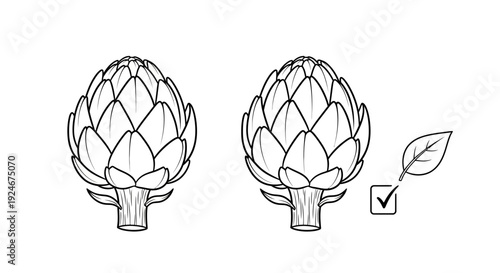 Two Artichokes with Leaf and Checkmark Icon, Healthy Food Concept, Line Drawing