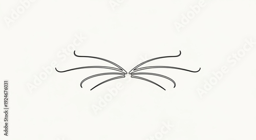 Eyelash extensions false lashes beauty makeup cosmetic eye lash black isolated white background elegant detailed vector illustration graphic design