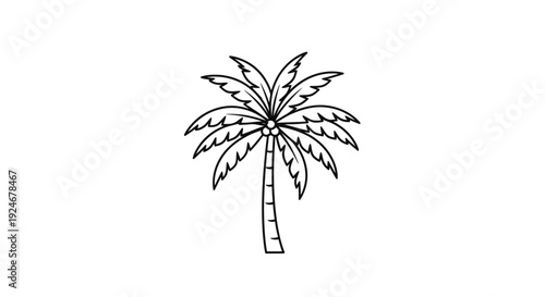 Simple Line Art Palm Tree Icon