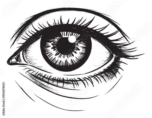 Expressive ink drawing of a striking human eye with long lashes and a detailed iris, perfect for graphic design projects, spiritual themes, or emotional storytelling content