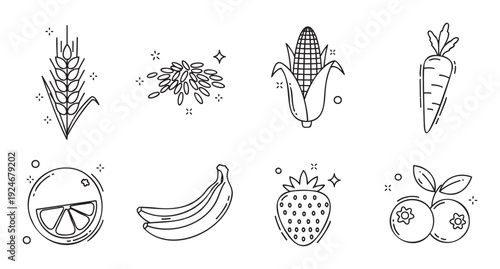 Collection of essential food icons depicting farm fresh produce including cereals, grains, corn, root vegetables, citrus, tropical fruits, and berries, perfect for nutrition guides and
