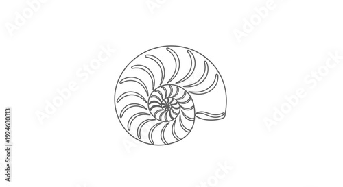 Nautilus Shell Spiral - Fibonacci Sequence, Golden Ratio, Nature's Geometry