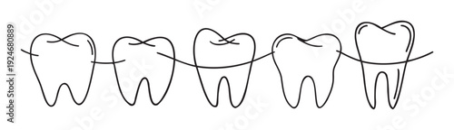 Five healthy teeth standing in a line and connected together, symbolizing excellent oral health and strong dental care for educational use or pediatric dentistry applications.
