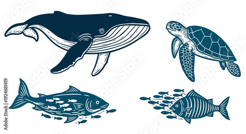Marine life illustrations of whale, turtle, and fish in vintage style