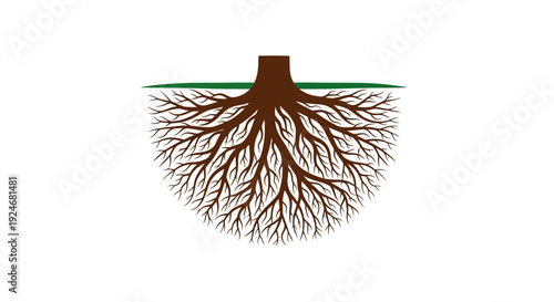 Tree Roots Network