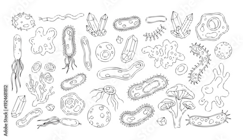 Diverse collection of microscopic organisms including bacteria, viruses, cells, and fungi alongside various crystals for scientific research or educational biology studies.