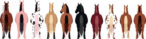 Horse Breeds Rear View Collection with Different Coat Colors Farm Equine Animals Flat Vector Illustration Set