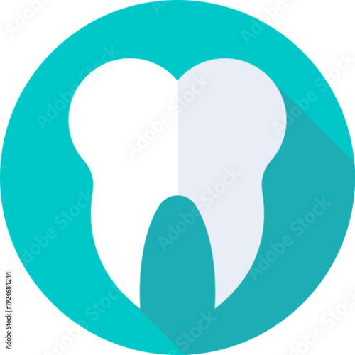 Tooth with Root Dental Anatomy Icon