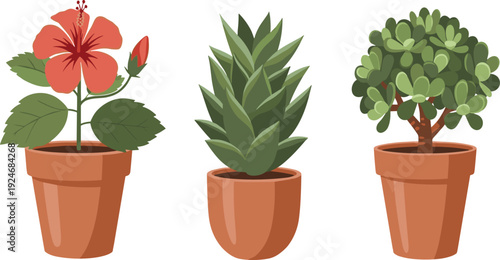 Potted Houseplant Collection with Hibiscus Flower Succulent and Indoor Bonsai Tree for Home Decor Botanical Vector Illustration Design.
