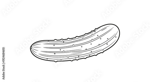 Hand-drawn illustration of a fresh, ripe pickle on a white background.