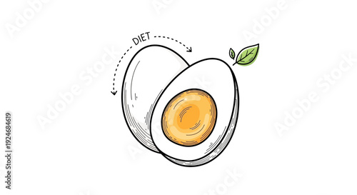 Hand-drawn illustration of a hard-boiled egg cut in half, symbolizing diet and healthy eating.