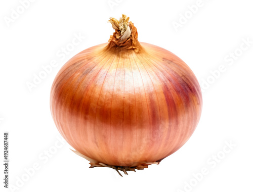 Wallpaper Mural Vibrant Yellow-Orange Onion on Black Background Symbolizing Freshness, Vitality and Simple Natural Beauty in Macro Detail Torontodigital.ca