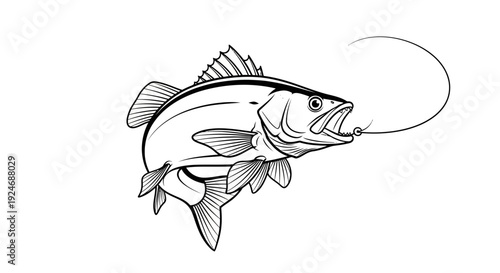 Fishing Hook Catching Fish