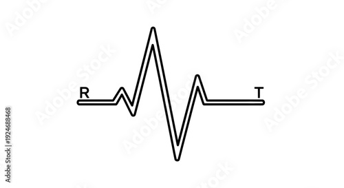 Electrocardiogram ECG Heartbeat Line Graph R T Wave