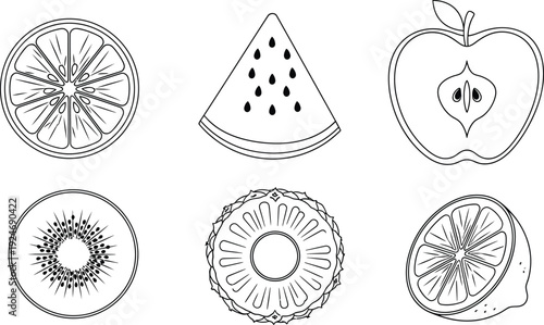 Collection of fruit slices including orange watermelon apple kiwi pineapple and lemon in a simple outline vector style for healthy eating concepts