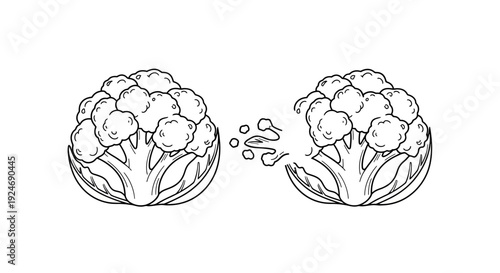 Cauliflower bursting with freshness, healthy food concept illustration